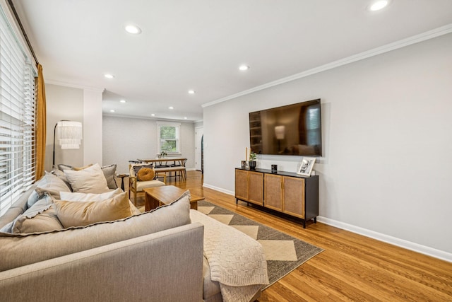 204 Eldon Ct, Nashville, TN 37214 - living area with crown molding, light wood-style flooring, and recessed lighting