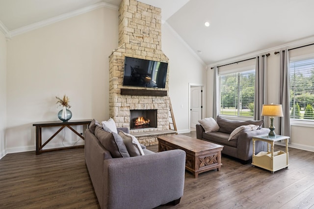 623 Josef Cir, Columbia, TN 38401 - living area featuring crown molding, a stone fireplace, wood finished floors, and high vaulted ceiling