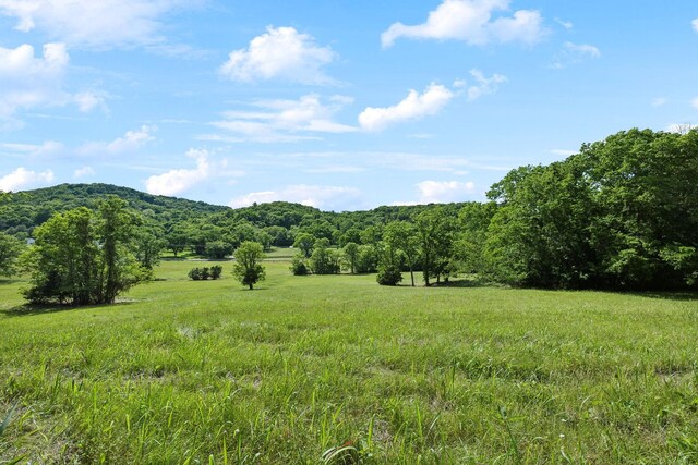 0 Arno Rd, College Grove, TN 37046 - photo 14