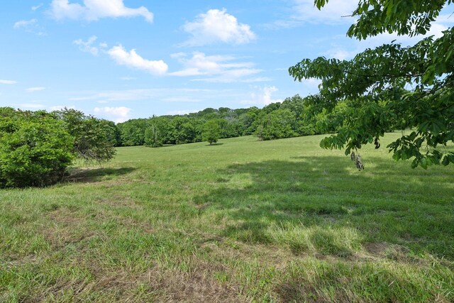 0 Arno Rd, College Grove, TN 37046 - photo 17