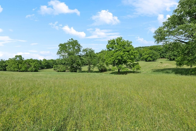 0 Arno Rd, College Grove, TN 37046 - photo 15