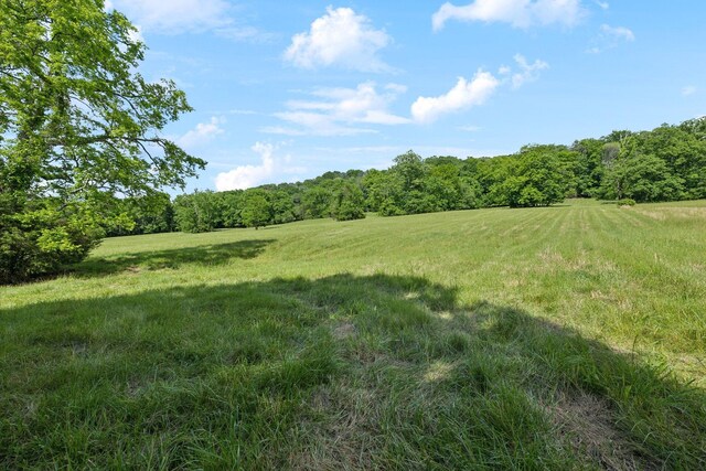 0 Arno Rd, College Grove, TN 37046 - photo 18