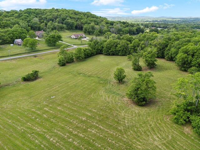0 Arno Rd, College Grove, TN 37046 - photo 10