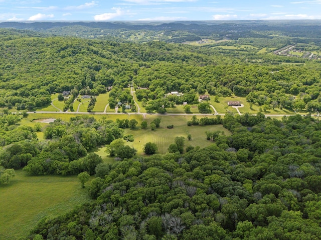 0 Arno Rd, College Grove, TN 37046 - photo 8