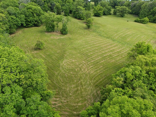 0 Arno Rd, College Grove, TN 37046 - photo 11