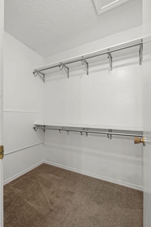 1029 Rachels Square Dr, Hermitage, TN 37076 - walk in closet featuring carpet flooring