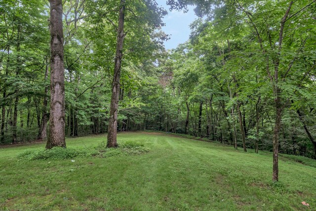 3120 Knob Creek Rd, Columbia, TN 38401 - photo 37