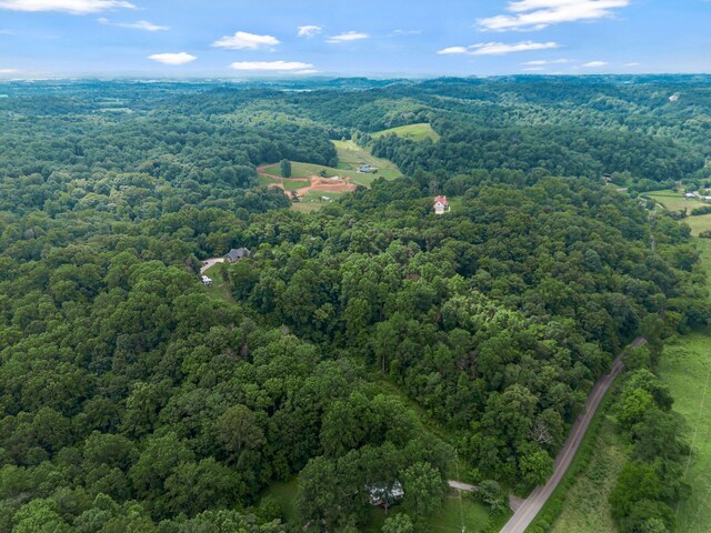 3120 Knob Creek Rd, Columbia, TN 38401 - photo 52
