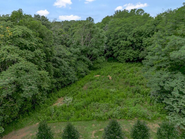3120 Knob Creek Rd, Columbia, TN 38401 - photo 50
