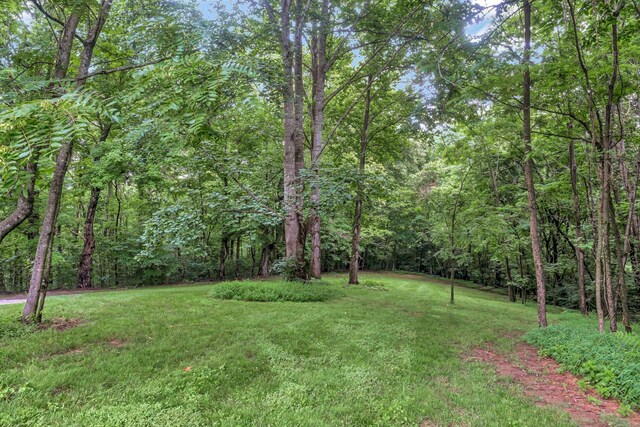 3120 Knob Creek Rd, Columbia, TN 38401 - photo 36