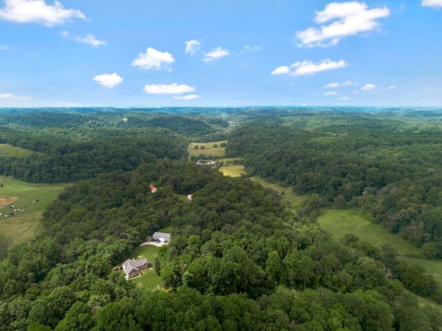 3120 Knob Creek Rd, Columbia, TN 38401 - photo 54