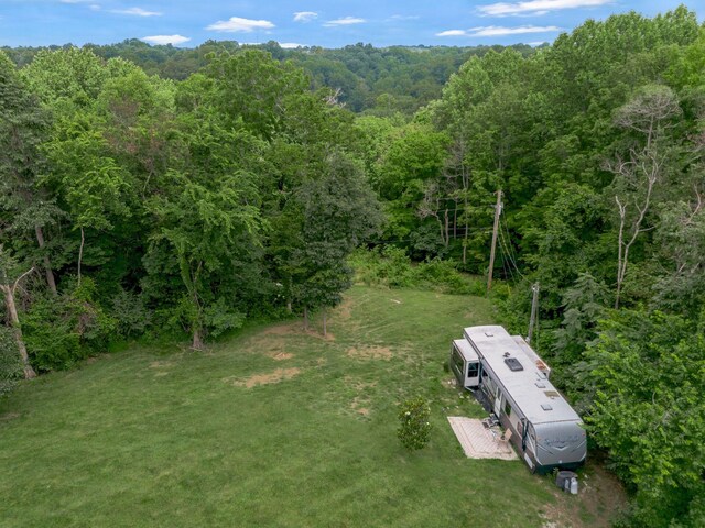 3120 Knob Creek Rd, Columbia, TN 38401 - photo 6