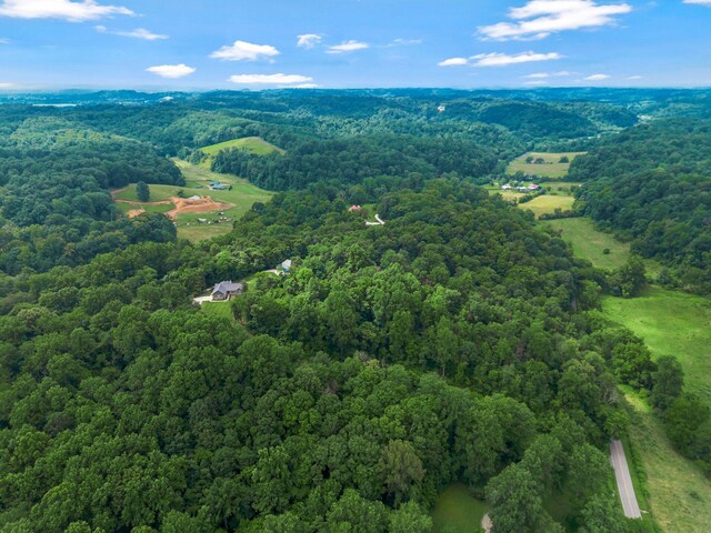 3120 Knob Creek Rd, Columbia, TN 38401 - photo 53
