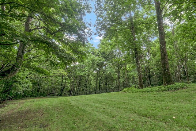 3120 Knob Creek Rd, Columbia, TN 38401 - photo 38