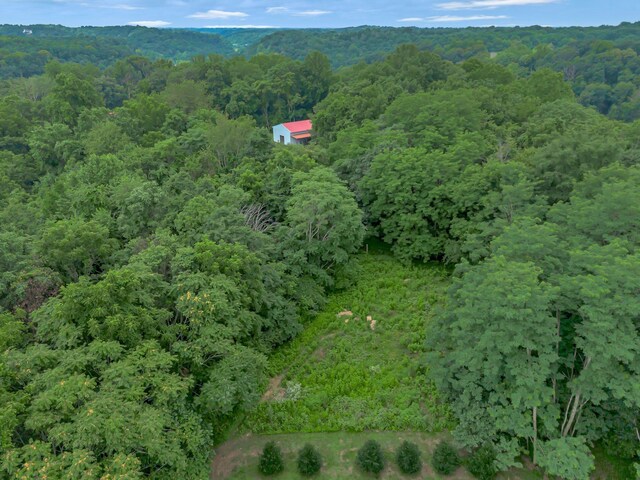 3120 Knob Creek Rd, Columbia, TN 38401 - photo 51