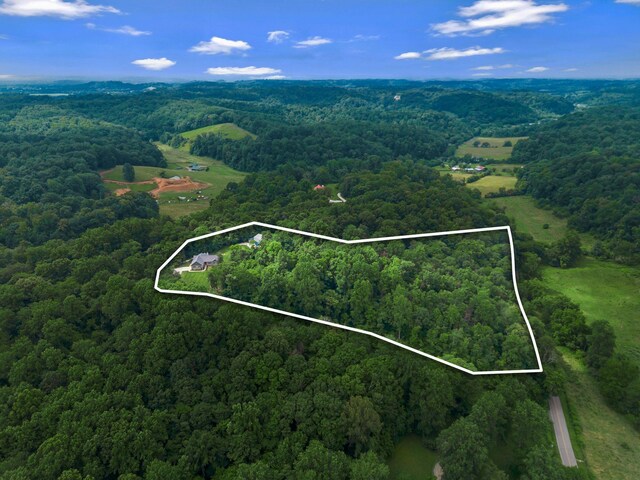 3120 Knob Creek Rd, Columbia, TN 38401 - photo 45