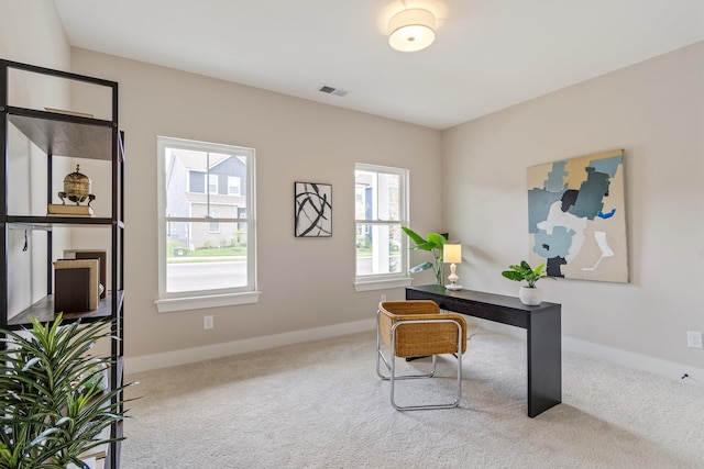 317 Delta Way, La Vergne, TN 37086 - office area with carpet floors and baseboards
