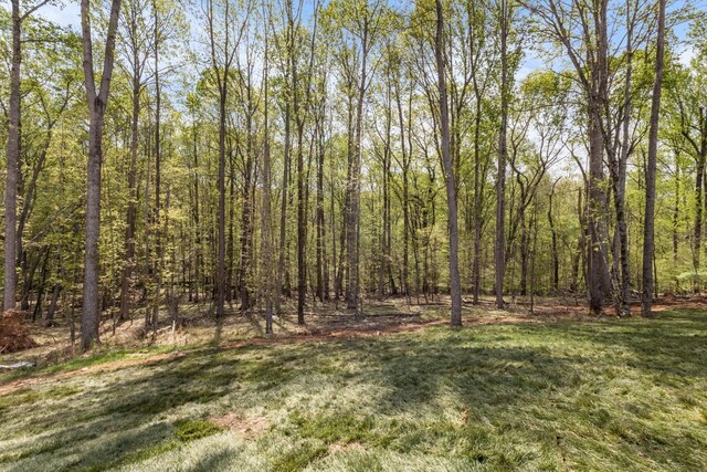 1173 Black Rock Rd, Clarksville, TN 37040 - photo 33