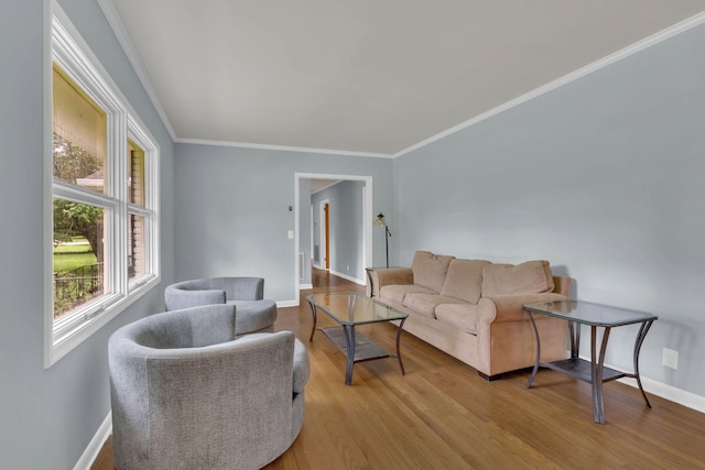 1118 Houston Dr, Murfreesboro, TN 37130 - living area featuring wood finished floors and ornamental molding
