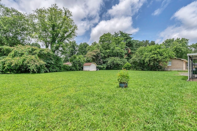 1118 Houston Dr, Murfreesboro, TN 37130 - view of green lawn with a shed