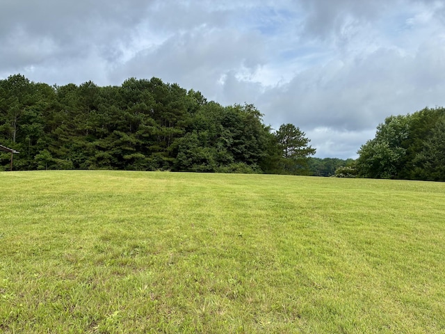 342 Second Creek Rd, Five Points, TN 38457 - view of grassy yard featuring a forest view