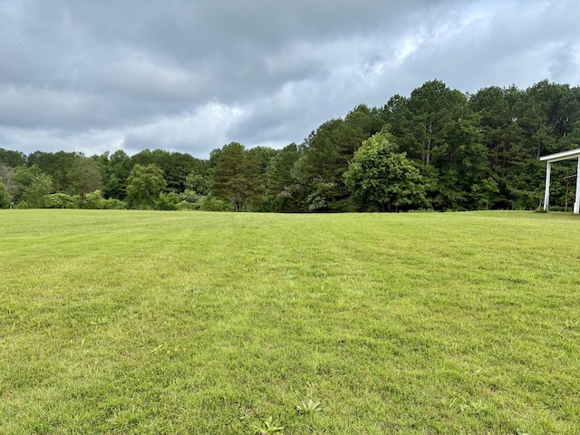 342 Second Creek Rd, Five Points, TN 38457 - view of grassy yard with a wooded view