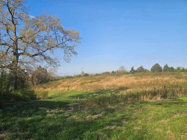 730 Rickman Rd, Livingston, TN 38570 - photo 8