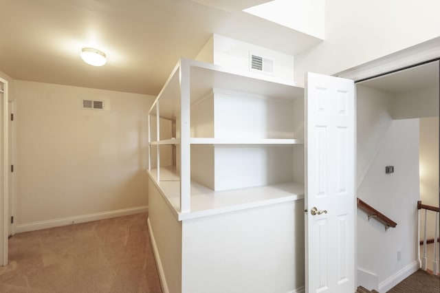 1176 Fairvue Village Ln, Gallatin, TN 37066 - walk in closet featuring carpet floors