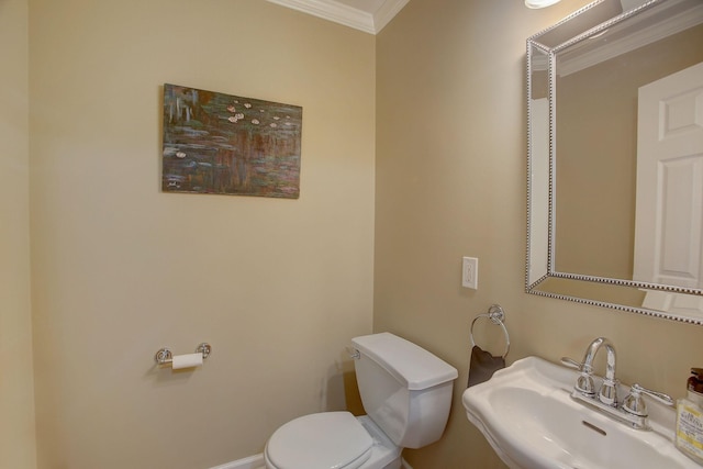 1064 Crane Ct, Kingston Springs, TN 37082 - bathroom with a sink and crown molding