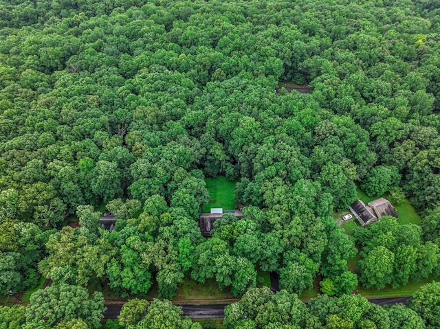 1064 Crane Ct, Kingston Springs, TN 37082 - aerial overview of property's location featuring a heavily wooded area