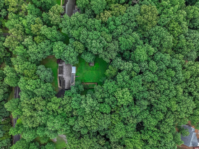 1064 Crane Ct, Kingston Springs, TN 37082 - aerial view of property's location