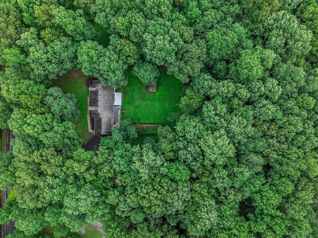 1064 Crane Ct, Kingston Springs, TN 37082 - aerial view of property's location