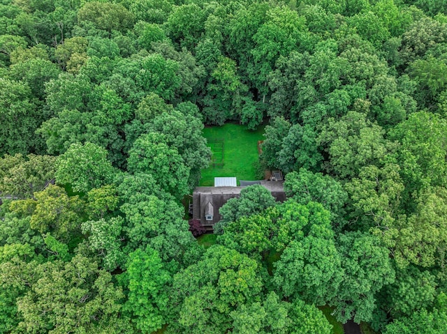 1064 Crane Ct, Kingston Springs, TN 37082 - aerial overview of property's location with a forest
