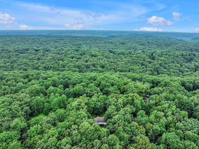 1064 Crane Ct, Kingston Springs, TN 37082 - bird's eye view of a forest