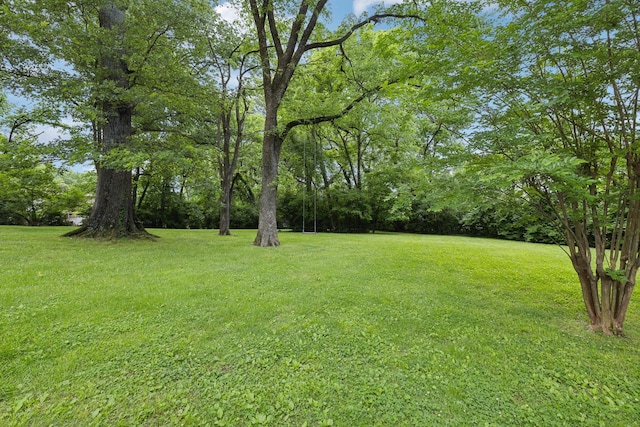 820 Overton Ln, Nashville, TN 37220 - photo 46