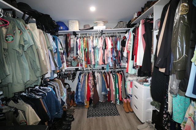 60 Jayson St, Camden, TN 38320 - spacious closet featuring wood finished floors