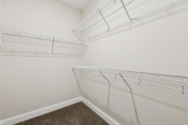 1177 Christian James Dr, Clarksville, TN 37043 - photo 48