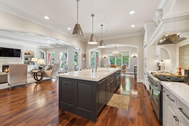 114 Middleton Cir, Nashville, TN 37215 - kitchen with high end stainless steel range, premium range hood, dark wood finished floors, a high end fireplace, and ornamental molding