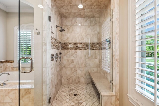 114 Middleton Cir, Nashville, TN 37215 - bathroom featuring a stall shower, healthy amount of natural light, and ornamental molding
