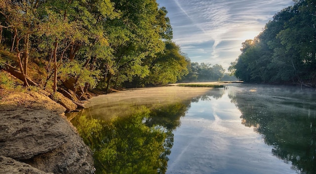 1720 Merkel Rd, Columbia, TN 38401 - water view featuring a forest