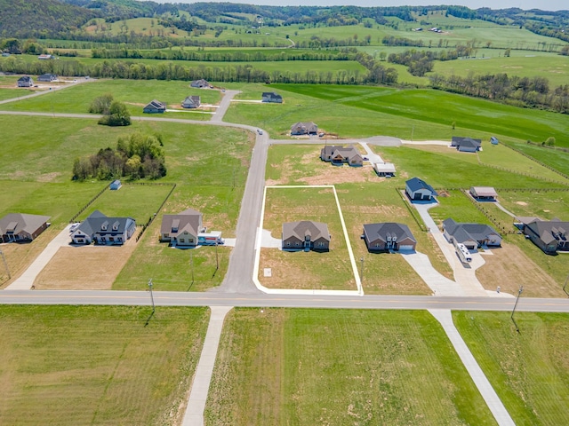 3242 Ostella Rd, Cornersville, TN 37047 - photo 9