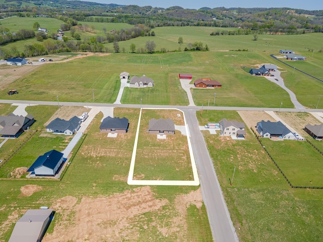 3242 Ostella Rd, Cornersville, TN 37047 - photo 6