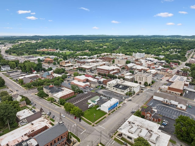 905 School St, Columbia, TN 38401 - photo 95