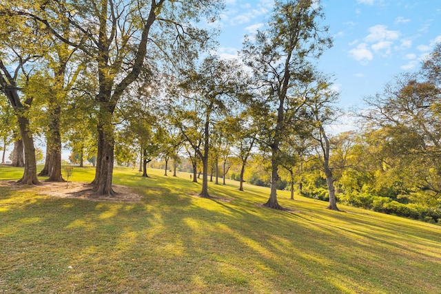1700 Electric Ave, Nashville, TN 37206 - photo 3