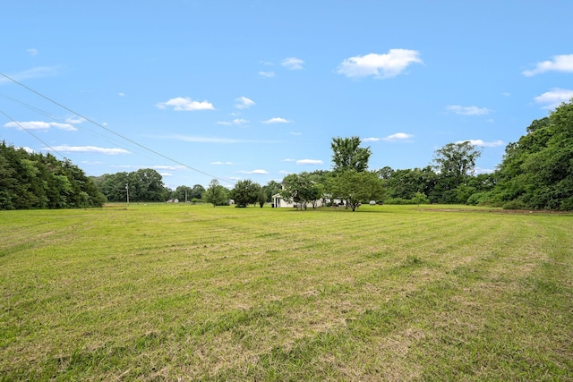 4842 Lunns Store Rd, Chapel Hill, TN 37034 - photo 11