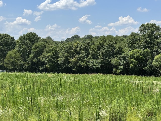 165 Crenshaw Rd, Hartsville, TN 37074 - photo 15