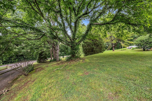 6443 Charlotte Road Cir, Nashville, TN 37209 - photo 3