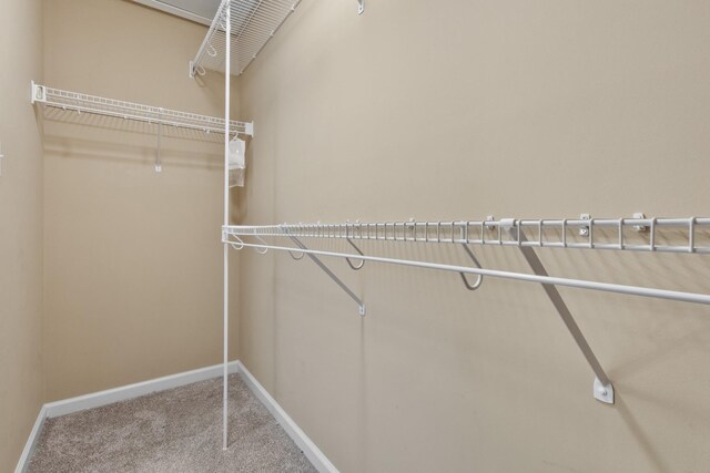 989 Ernest Stewart Dr, Clarksville, TN 37042 - spacious closet featuring carpet floors