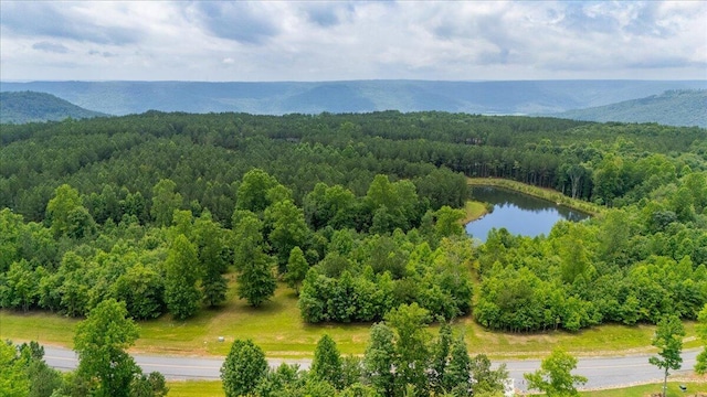 0 Cherokee Path, Jasper, TN 37347