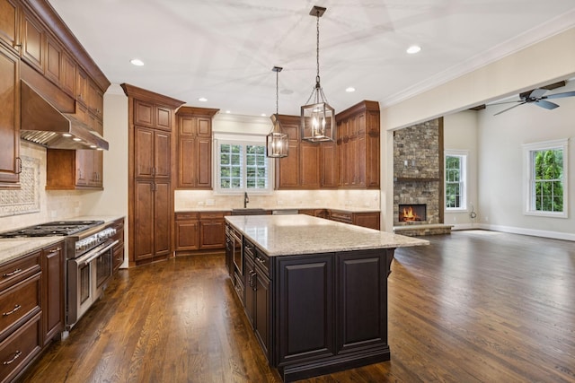 703 Welsh Ln, Franklin, TN 37064 - kitchen featuring appliances with stainless steel finishes, dark wood-type flooring, plenty of natural light, a fireplace, and ornamental molding
